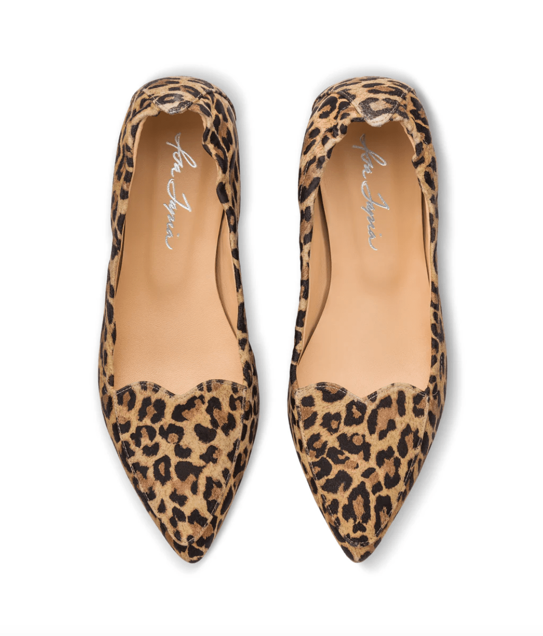 Nova Leopard Suede Flats - MATTHÉ - shoes
