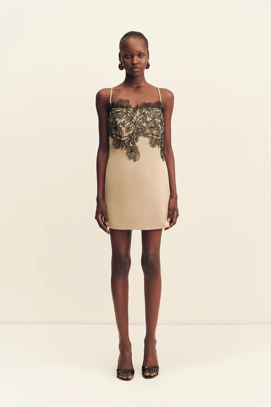 Lucia Lace Mini Dress - Champagne / Black