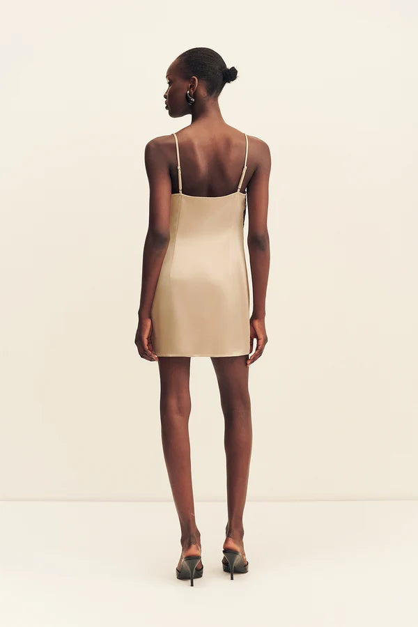 Lucia Lace Mini Dress - Champagne / Black