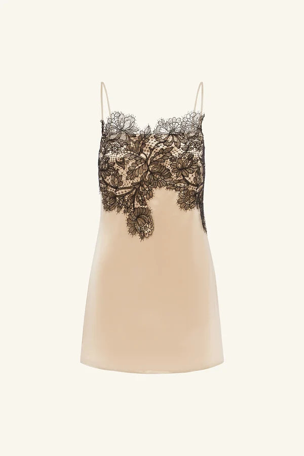 Lucia Lace Mini Dress - Champagne / Black